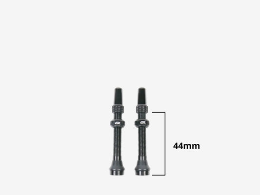 QUASAR Tubeless Valves