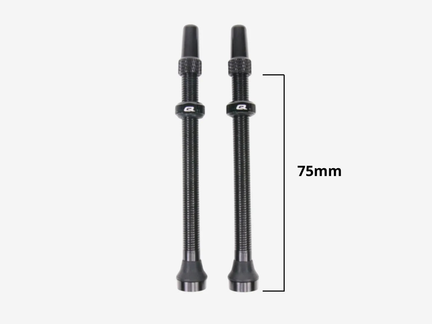 QUASAR Tubeless Valves