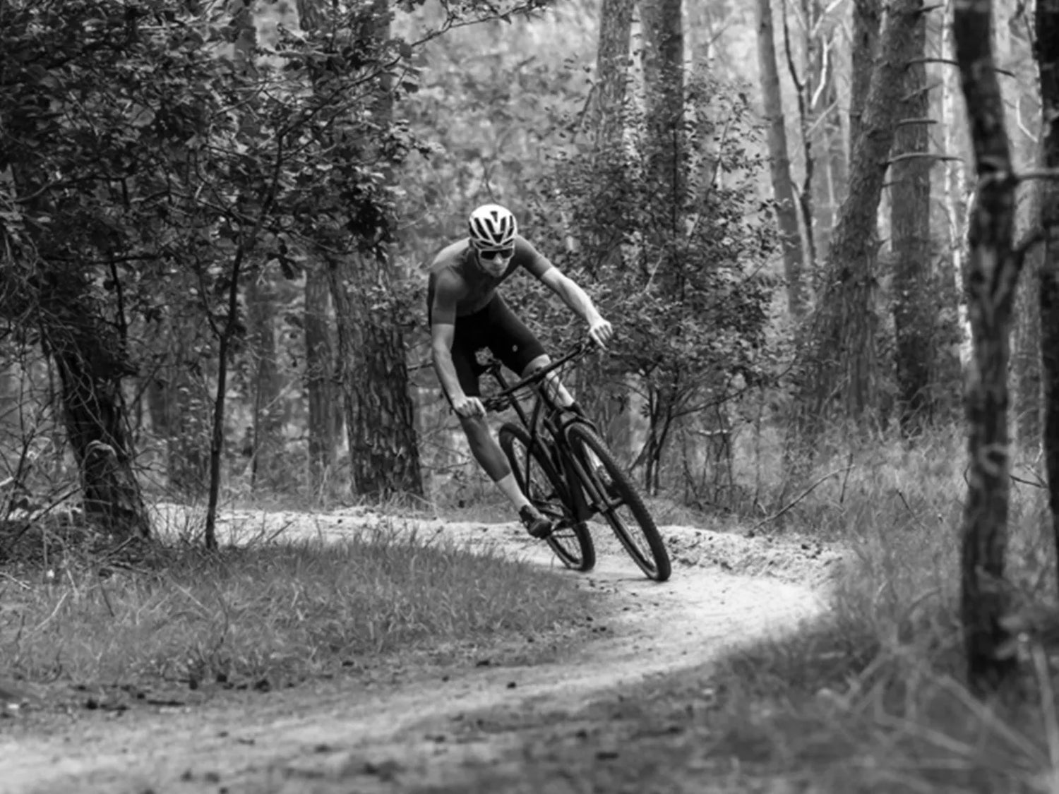 MTB Wielen
