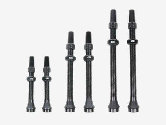 QUASAR Tubeless Valves