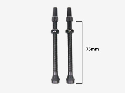 QUASAR Tubeless Valves